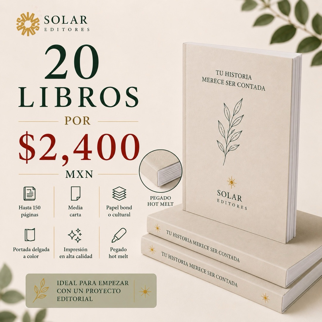 20 libros $2,400